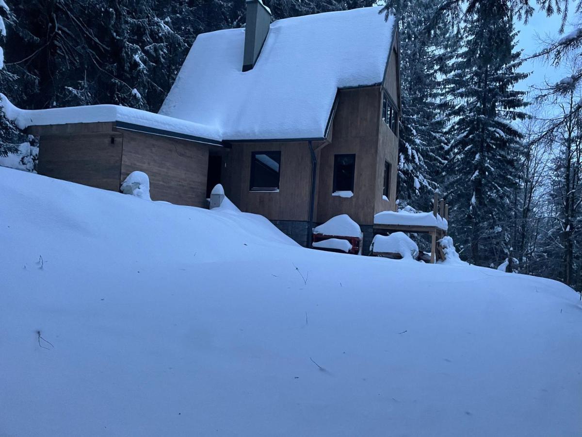Chalet Fimili Vyšná Boca Екстериор снимка
