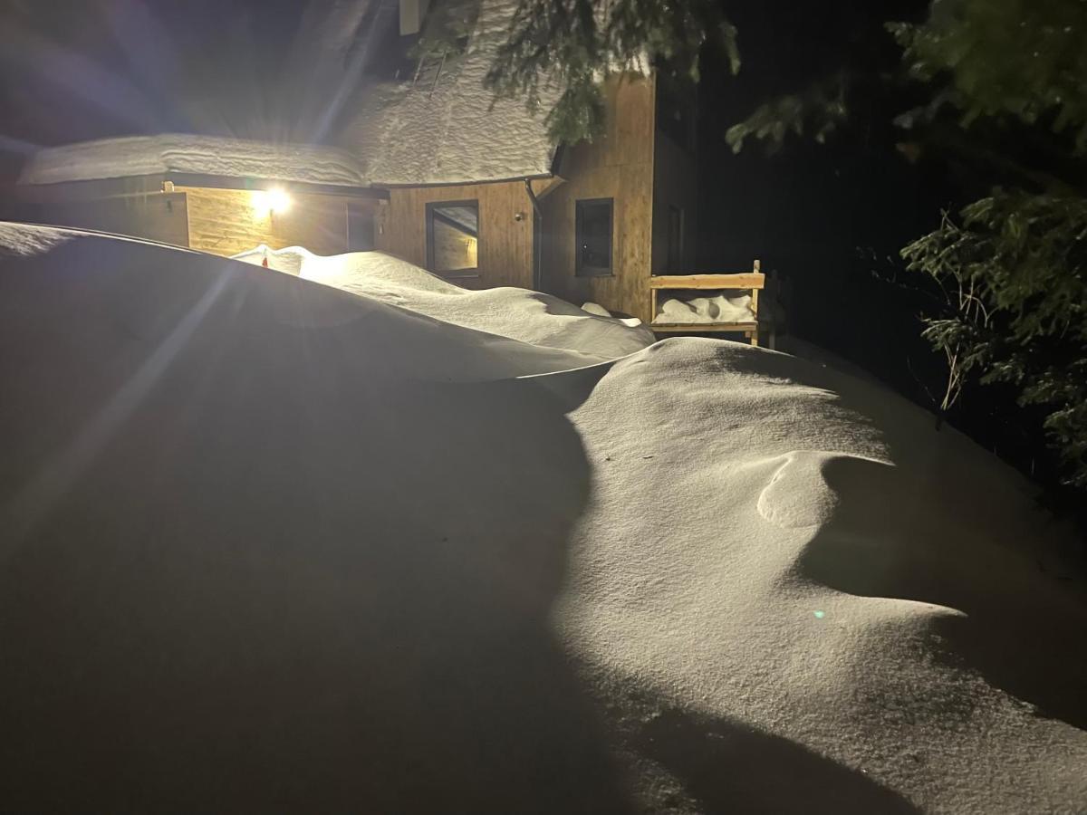 Chalet Fimili Vyšná Boca Екстериор снимка